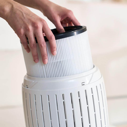 Bosch Air 2000 Compatible Replacement Filter (HEPA + Carbon)