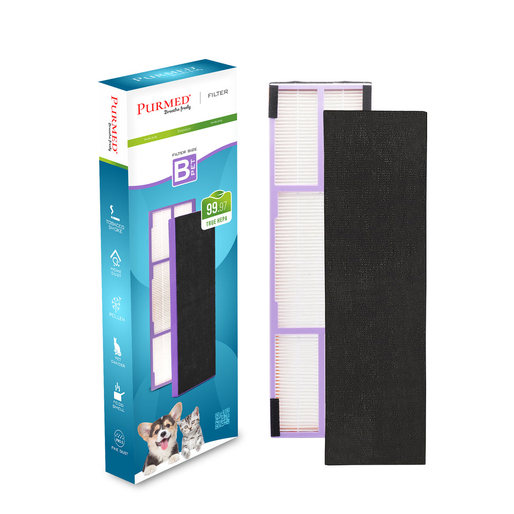 Lavieair Retro 9906 Compatible Replacement HEPA Filter Set (HEPA + Carbon)