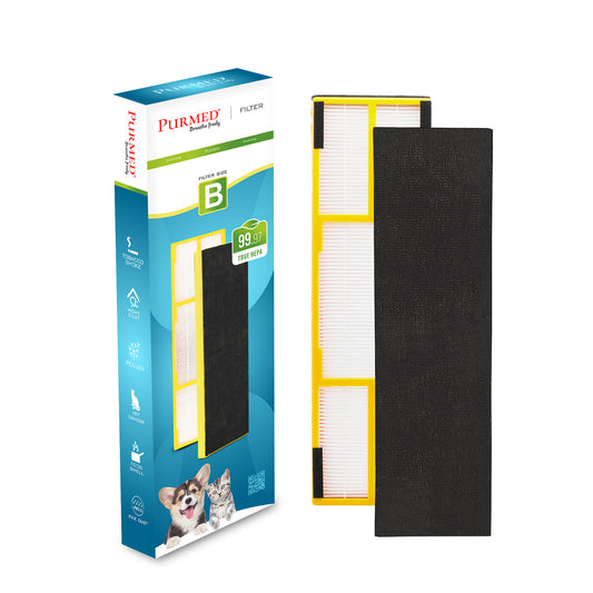 Lavieair Retro 9906 Compatible Replacement HEPA Filter Set (HEPA + Carbon)